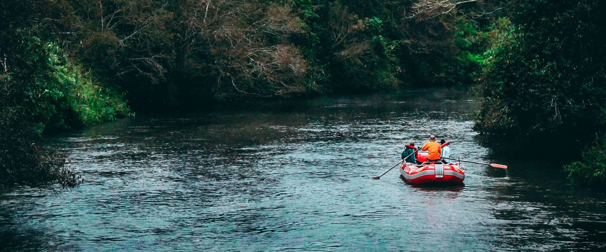 Photo by https://unsplash.com/@jonny_lew